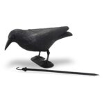 Kruk-Symulator: Realistyczny odstraszacz ptaków do ogrodu i domu - obrazek 2