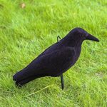 Kruk-Symulator: Realistyczny odstraszacz ptaków do ogrodu i domu - obrazek 3