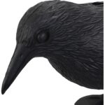 Realistyczny Odstraszacz Ptaków - Kruk Duży ze Szpikulcem do Montażu - obrazek 3