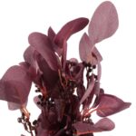 Bukiet liści jabłoni w kolorze FIOLETOWYM 52 cm - obrazek 2