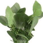 Bukiet liści jabłoni w kolorze ZIELONYM 52 cm - obrazek 2