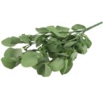 Bukiet liści jabłoni w kolorze ZIELONYM 52 cm - obrazek 3