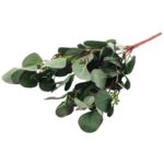 Bukiet liści jabłoni w kolorze ZIELONO FIOLETOWYM 52 cm - obrazek 3