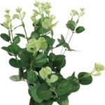 Bukiet liści EUCALYPTUSA w kolorze CIEMNO ZIELONYM  II 50 cm - obrazek 2