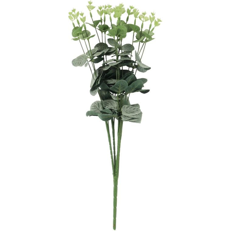 SD2412BC.ZIEL_ Bukiet liści EUCALYPTUSA w kolorze CIEMNO ZIELONYM 50 cm - obrazek 1