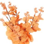 Bukiet liści EUCALYPTUSA w kolorze POMARAŃCZOWYM 50 cm - obrazek 2
