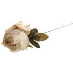 Kremowa Piwonia z Złotym Brokatem - Dekoracja na Wzniosłe Okazje 80cm - obrazek 3