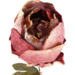 PIWONIA WELUROWA Z BROKATEM 62 CM RÓŻOWA - obrazek 2