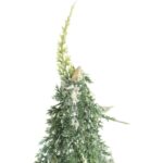 Sztuczne drzewko CHOINKA OŚNIEŻONA W JUCIE 24 CM - obrazek 2