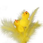 KURCZACZKI Z PIÓRKAMI NA PIKU - obrazek 2