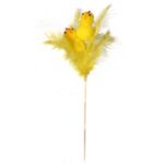 KURCZACZKI Z PIÓRKAMI NA PIKU