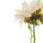 Słonecznik Kremowy Dekoracyjny o Wysokości 68 cm - obrazek 3