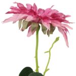 Słonecznik Pojedynczy w Kolorze Różowym o Wielkości 64cm - obrazek 2