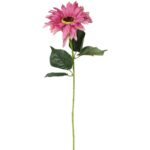 Słonecznik Pojedynczy w Kolorze Różowym o Wielkości 64cm