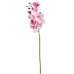 Gałązka storczyka kolor jasny róż
