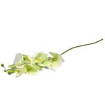 Gałązka storczyka kolor zielony - obrazek 3