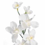 STORCZYK GAŁĄZKA KOLOR BIAŁY 66 CM - obrazek 2