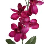 STORCZYK GAŁĄZKA KOLOR BORDOWY 66 CM - obrazek 2