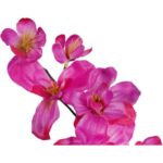 STORCZYK GAŁĄZKA KOLOR CIEMNO RÓŻOWY 66 CM - obrazek 2