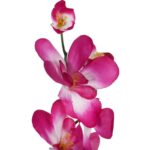 STORCZYK GAŁĄZKA KOLOR FIOLETOWO BIAŁY 66 CM - obrazek 2