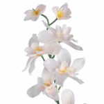 STORCZYK GAŁĄZKA KOLOR KREMOWY 66 CM - obrazek 2