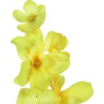 STORCZYK GAŁĄZKA KOLOR ŹÓŁTY 66 CM - obrazek 3