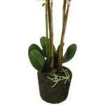 Storczyk gumowany w kolorze białym z liśćmi 5 gałązek - obrazek 2