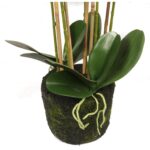 Storczyk gumowany w kolorze różowym z liśćmi 5 gałązek - obrazek 3