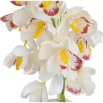 STORCZYK BIAŁY - obrazek 2