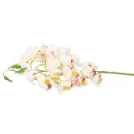 STORCZYK BIAŁY - obrazek 3