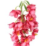 STORCZYK CIEMNO-ŁOSOSIOWYM - obrazek 2