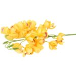 Gałązka storczyka dzwonkowatego w kolorze żółtym 84 cm - obrazek 3