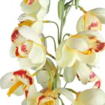 Gałązka storczyka dzwonkowatego w kolorze zielono różowym 84 cm - obrazek 2