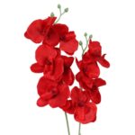 STORCZYK PODWÓJNY BORDOWY - obrazek 2