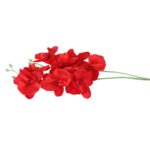 STORCZYK PODWÓJNY BORDOWY - obrazek 3