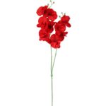 STORCZYK PODWÓJNY BORDOWY