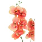 STORCZYK PODWÓJNY ŁOSOSIOWY - obrazek 2