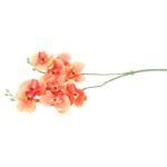 STORCZYK PODWÓJNY ŁOSOSIOWY - obrazek 3