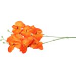 STORCZYK PODWÓJNY POMARAŃCZOWY - obrazek 2