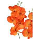 STORCZYK PODWÓJNY POMARAŃCZOWY - obrazek 3