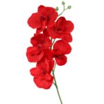 STORCZYK PODWÓJNY CZERWONY - obrazek 2