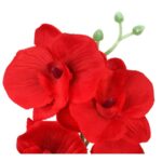 STORCZYK PODWÓJNY CZERWONY - obrazek 3