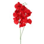 STORCZYK PODWÓJNY CZERWONY