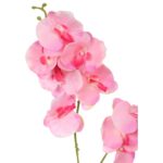 STORCZYK PODWÓJNY RÓŻOWY - obrazek 2