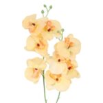 STORCZYK PODWÓJNY ŻÓŁTY - obrazek 2