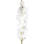 STORCZYK DŁUGA GAŁĄZKA BIAŁA - obrazek 2