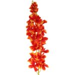 STORCZYK DŁUGA GAŁĄZKA POMARAŃCZOWA - obrazek 2