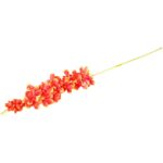 STORCZYK DŁUGA GAŁĄZKA POMARAŃCZOWA - obrazek 3