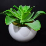 Sztuczny sukulent w białej ceramicznej osłonce