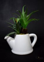 Zestaw sukulentów w białej ceramicznej konewce - dwie wersje wzorów - obrazek 3